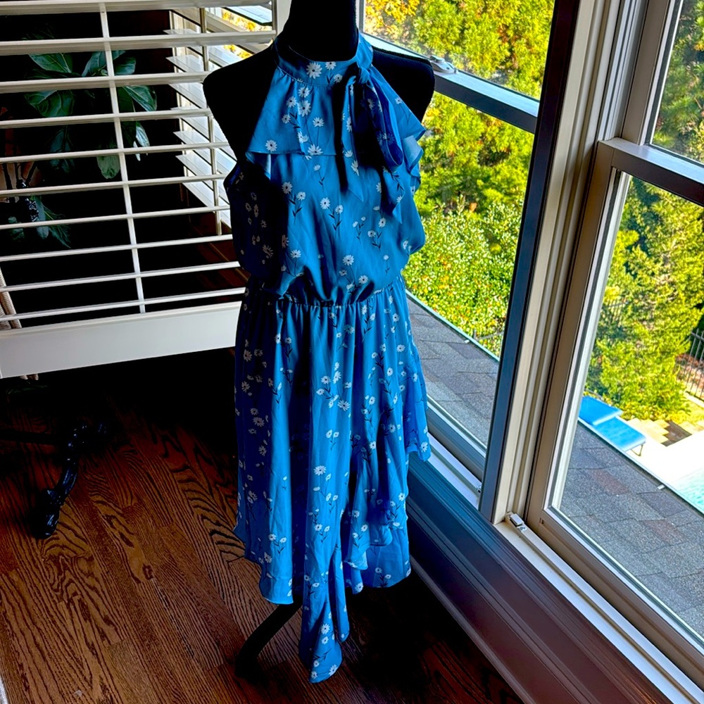 Floral blue, black and white dress by Parker. Beautifully made!